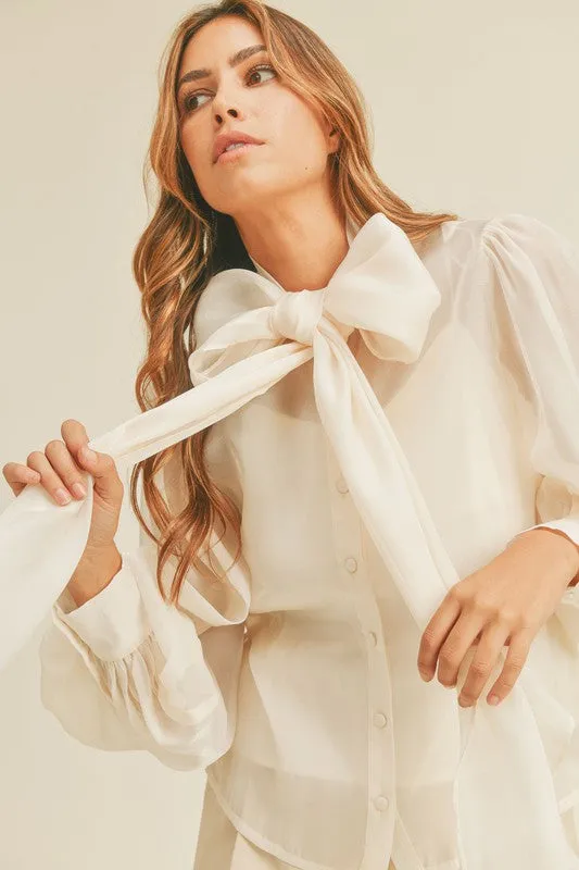 Jennie Long Sleeve Organza Button Down Blouse *limited*