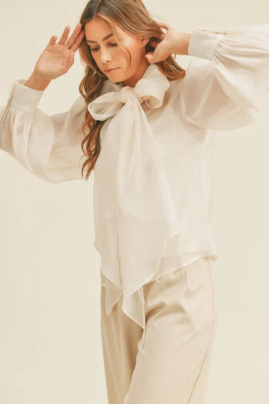 Jennie Long Sleeve Organza Button Down Blouse *limited*