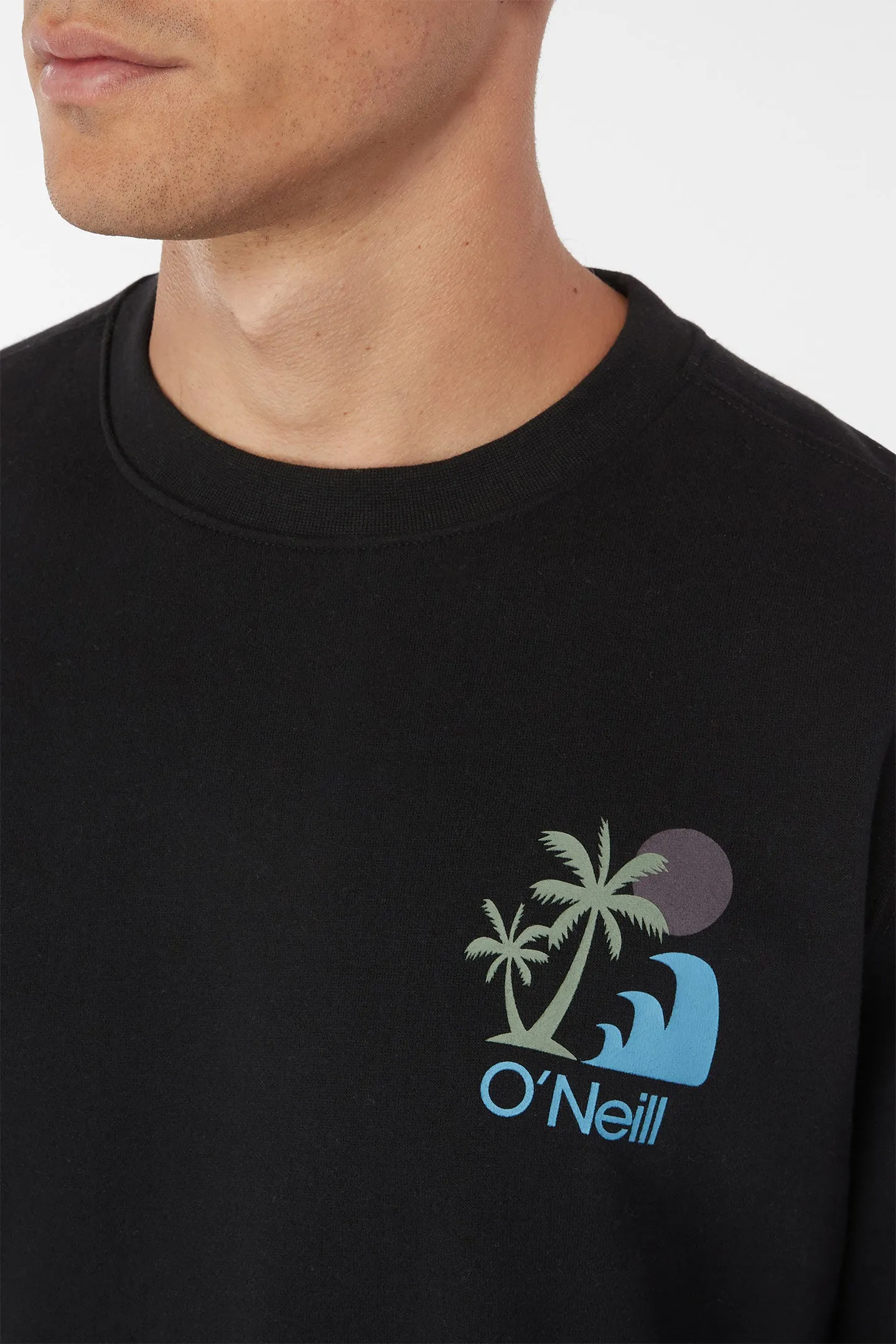 O'RIGINALS MYTHIC PALMS PULLOVER FLEECE